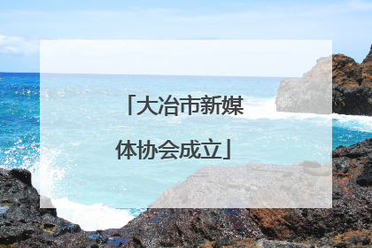 大冶市新媒体协会成立